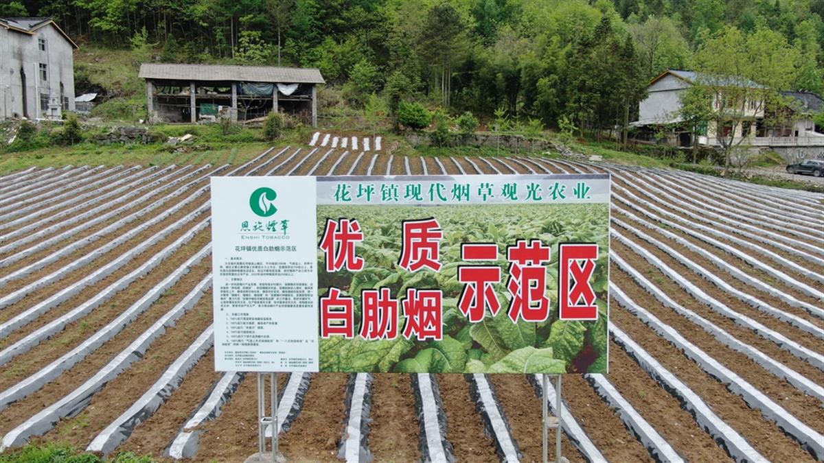 烟农客户端一站式烟农服务平台应用-第2张图片-太平洋在线下载
