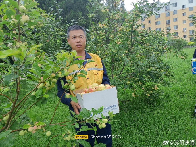 沈铁社保苹果版沈阳社保官网登录入口官方-第2张图片-太平洋在线下载