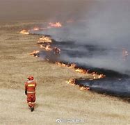 丝瓜视频色版app安卓丝瓜视频安卓色斑app卐-第2张图片-太平洋在线下载