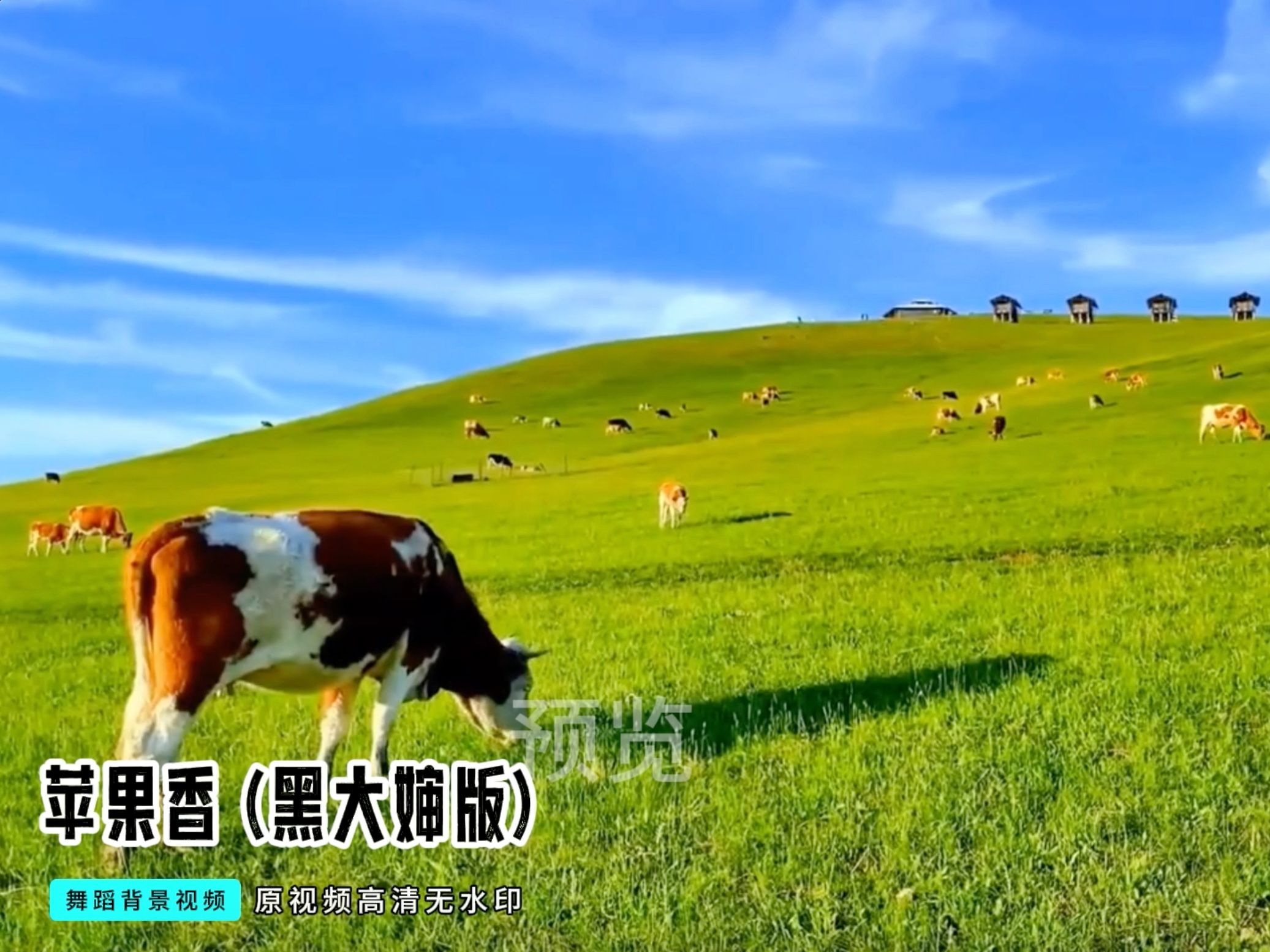 红山版的苹果香红色心的苹果叫什么-第2张图片-太平洋在线下载