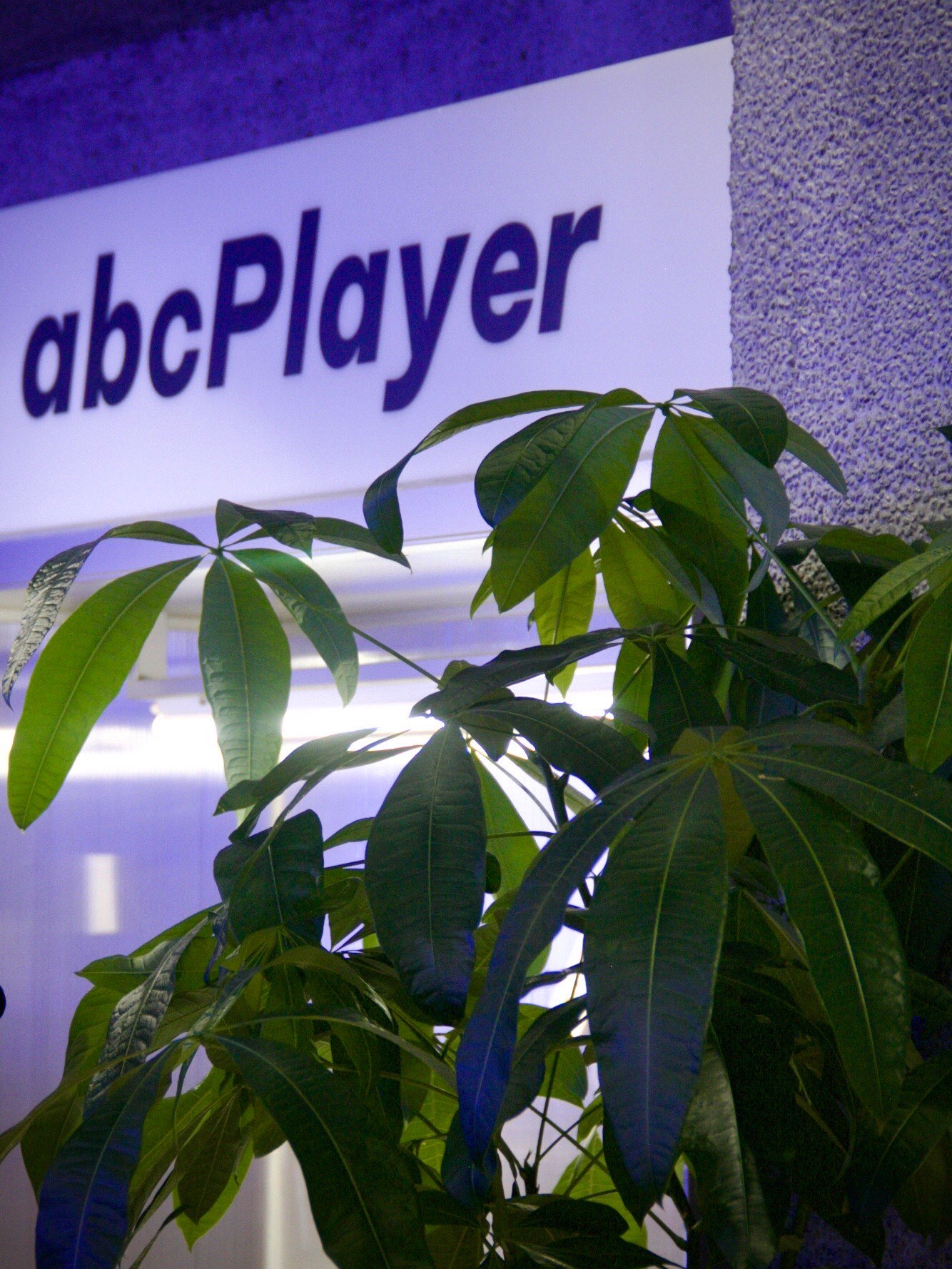 关于abcplayer安卓手机版的信息
